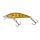 HL Brown Trout