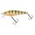 Wild Perch