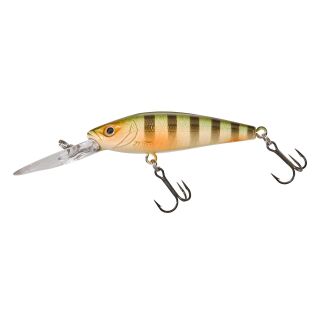 Wild Perch