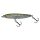 HL Minnow