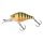 Wild Perch