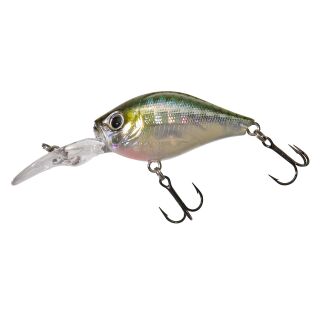 HL Minnow