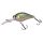 HL Minnow