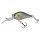 HL Minnow