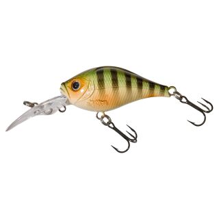 Wild Perch