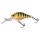 Wild Perch