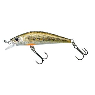 Minnow