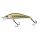 Minnow